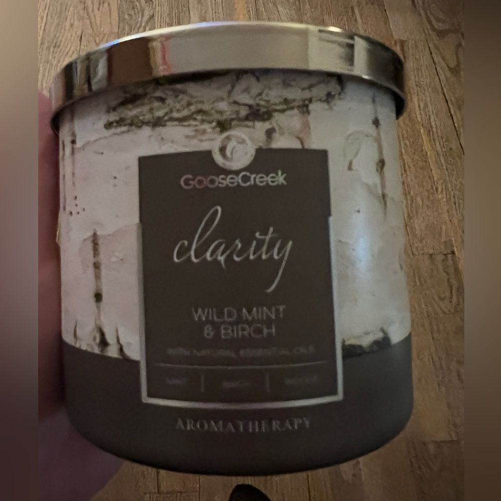 Goose Creek 3 Wick Candle SOOD OUT Clarity Wild Mint BT & Birch